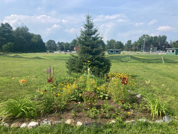 Milo Kiwanis Tree Garden