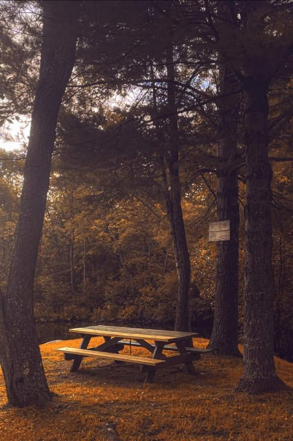 Kiwanis Picnic Area by the Pond - Photo by Ian Taylor